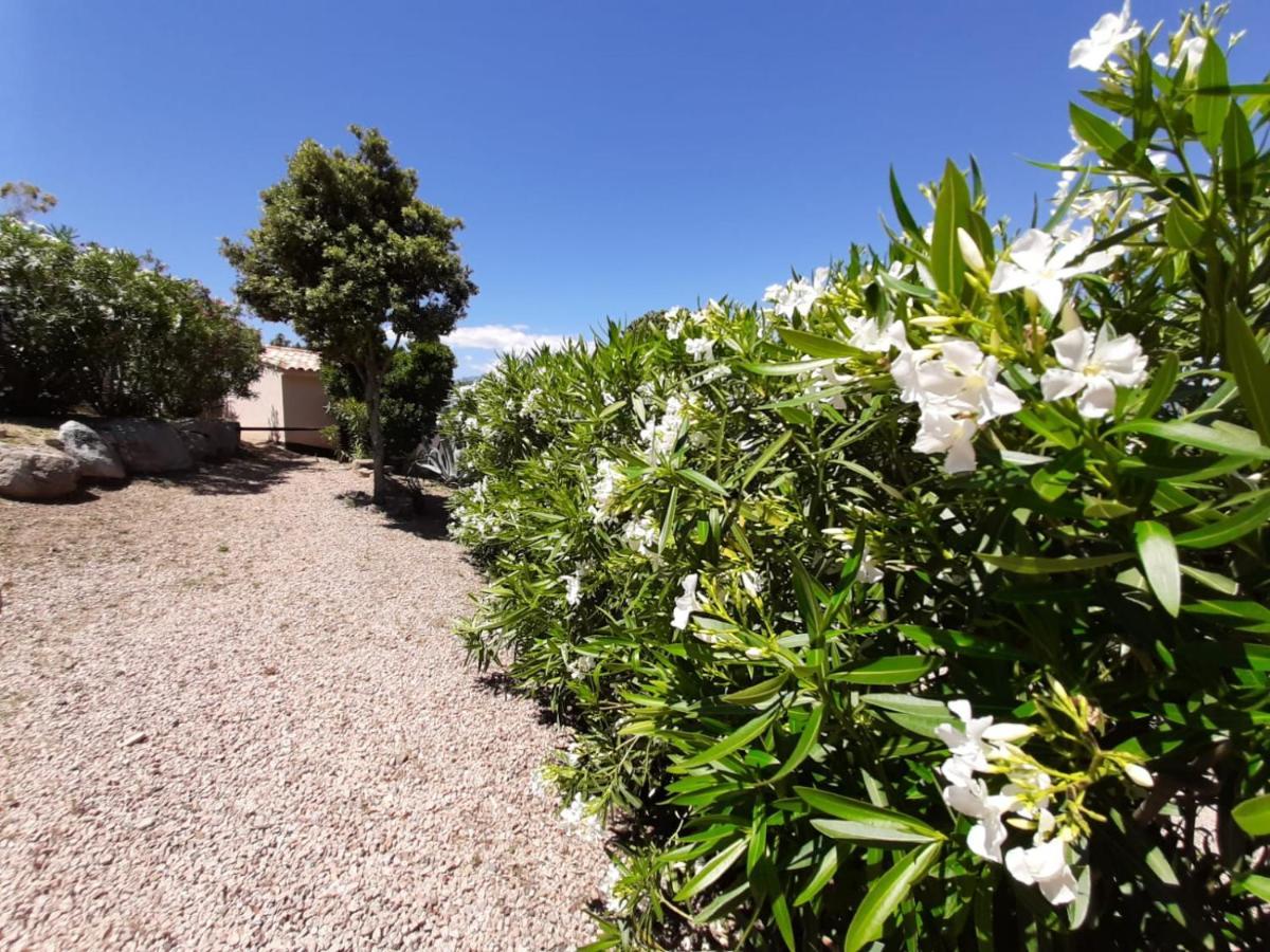 Hotel Sole Di Dume Sotta Exteriér fotografie